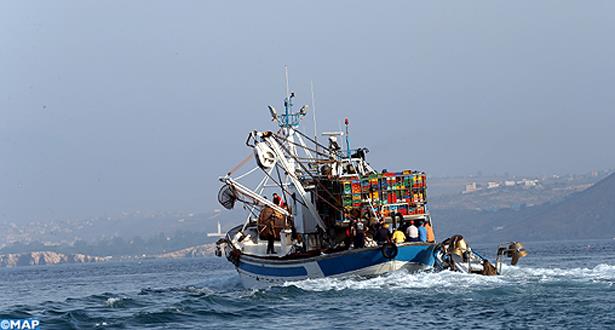 Pêche: repli de 7% des débarquements en 2020