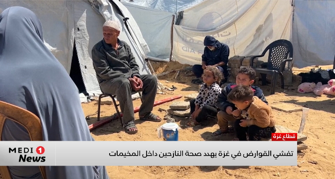تفشي القوارض في غزة يهدد صحة النازحين داخل المخيمات
