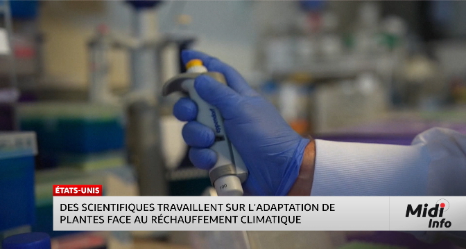 Des scientifiques travaillent sur l'adaptation de plantes face au réchauffement climatique