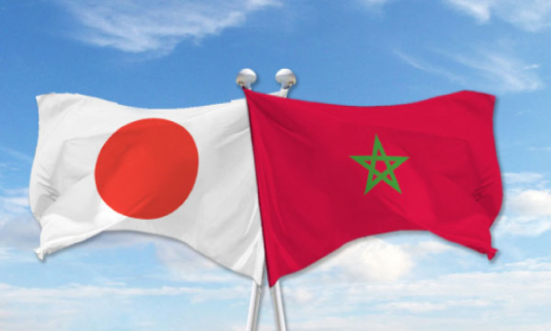 المغرب واليابان يبحثان آفاق التعاون في مجالات الكهرباء والماء الصالح للشرب والتطهير السائل