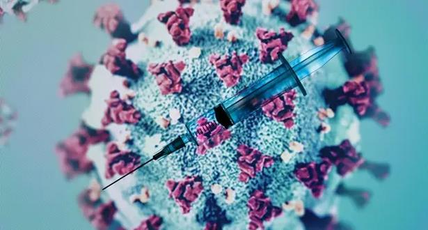 La pandémie du coronavirus dépasse les 5,6 millions de cas dans le monde