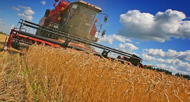 موسم الحبوب 2020-2021: وزارة الفلاحة تؤكد أن محصول الحبوب جيد جدا ويقدر بـ 103,2 مليون قنطار