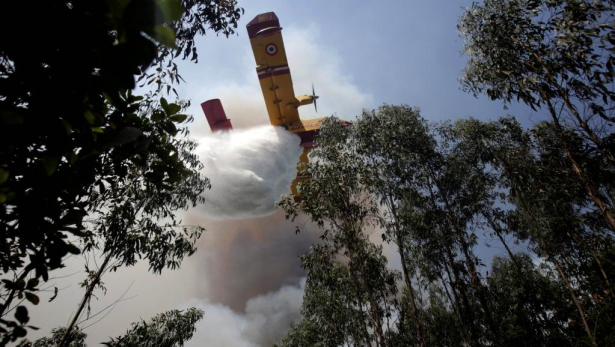 Incendies au Portugal: instructions royales pour l'envoi d'un avion Canadair en renfort
