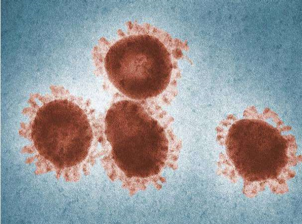 Coronavirus: le vrai du faux autour de la situation au Maroc