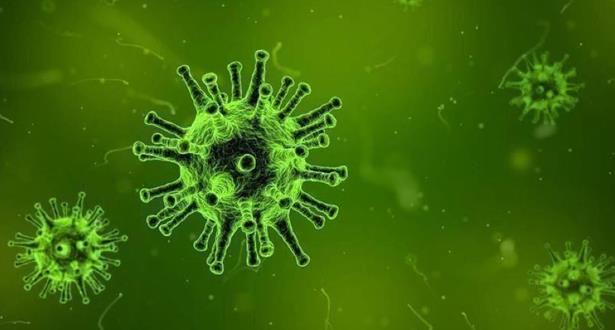 La pandémie du coronavirus dans le monde en chiffres