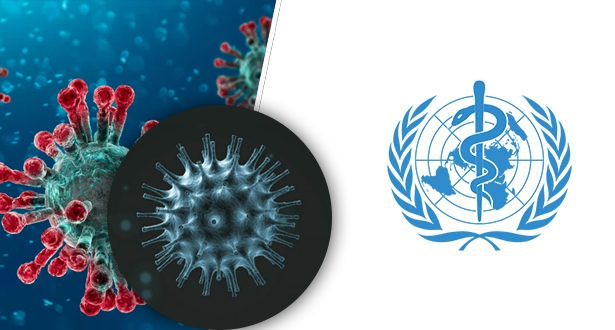 Coronavirus: l'OMS réunit les professionnels à Genève