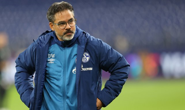 Allemagne: Schalke 04 se sépare de son entraîneur David Wagner