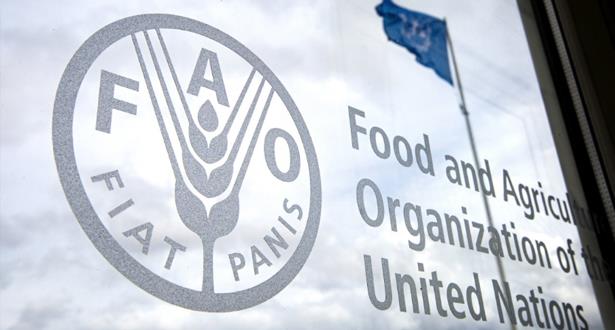 Crise alimentaire: La FAO appelle à des mesures urgentes