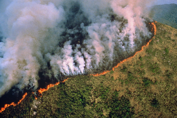 Incendies en Amazonie: l'ONU préoccupée