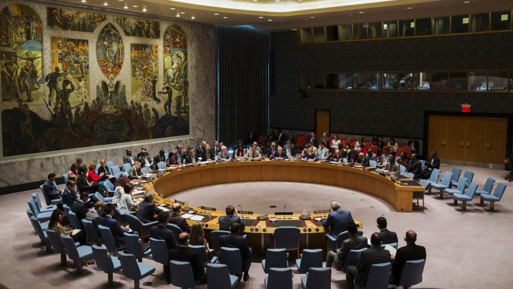ONU: l'Inde, la Norvège, l’Irlande et le Mexique élus au Conseil de sécurité
