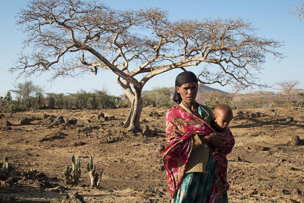 الأمم المتحدة تحذر من أن الصومال على شفا مجاعة مدمرة