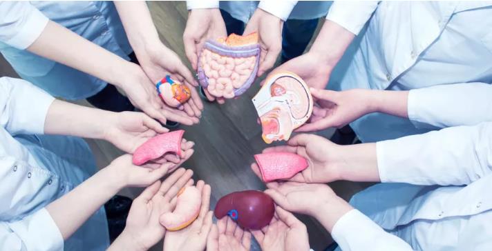 ألمانيا .. عدد المتبرعين بالأعضاء يبلغ أعلى مستوى له سنة 2025 ألمانيا .. عدد المتبرعين بالأعضاء يبلغ أعلى مستوى له سنة 2025