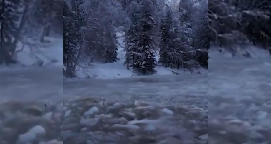 Chine : à 71 ans, il plonge dans une rivière glacée pour sauver un homme Chine : à 71 ans, il plonge dans une rivière glacée pour sauver un homme