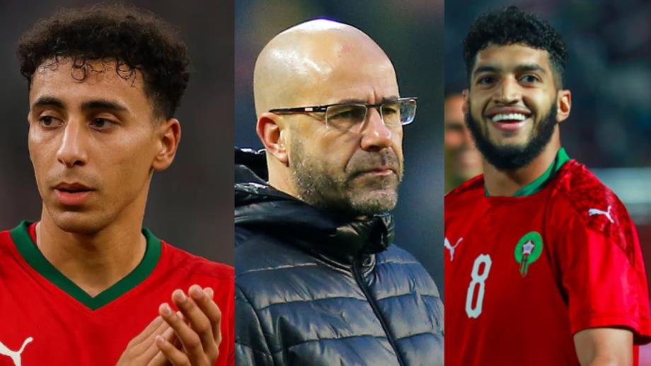 مدرب آيندهوفن يوجه رسالة للاعبيه المغاربة قبل نهائي الكان مدرب آيندهوفن يوجه رسالة للاعبيه المغاربة قبل نهائي الكان