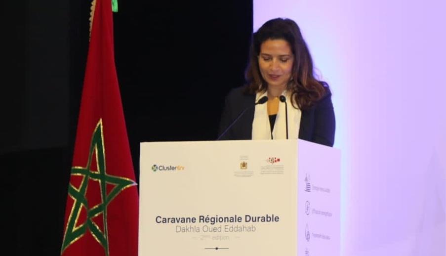 بنعلي: المغرب انخرط في استراتيجية طاقية مستدامة وطموحة