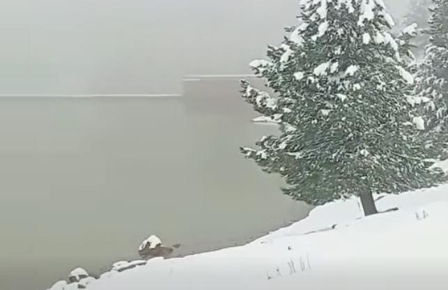 وسط الثلوج.. مشهد ساحر يُظهر انتعاش الموارد المائية بإفران وسط الثلوج.. مشهد ساحر يُظهر انتعاش الموارد المائية بإفران