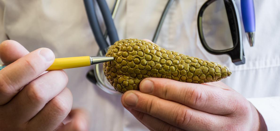 Espagne : des chercheurs parviennent à éliminer le cancer du pancréas chez la souris