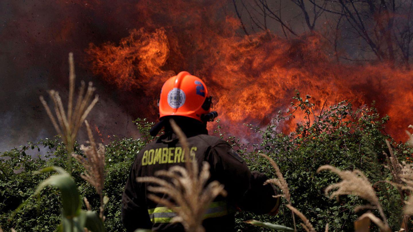 حرائق الشيلي تتسبب في مقتل 26 شخصا وتدمير 300 ألف هكتار