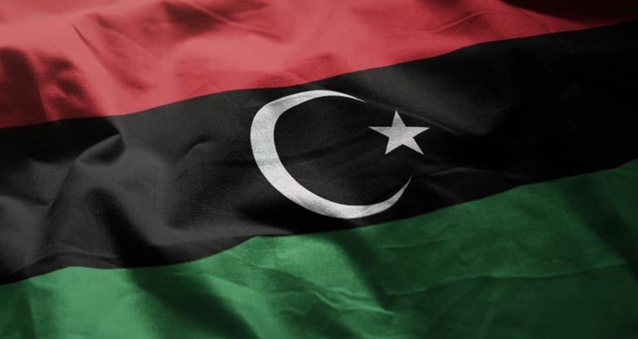 وفدا مجلس النواب والدولة الليبيين يبحثان في مصر إجراءات الاستفتاء على الدستور