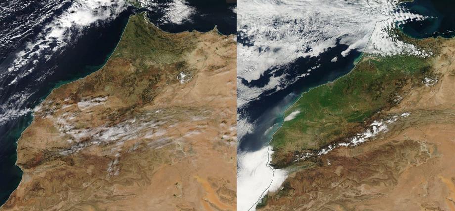 Maroc : des images satellites révèlent un regain de verdure après les récentes pluies