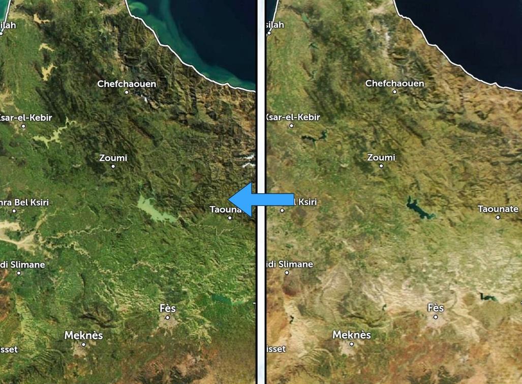 انتعاش مائي لافت في شمال المغرب.. الرداء الأخضر يعود بحلة ساحرة بعد الجفاف