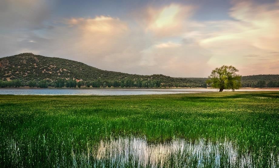 طقس الأحد .. أجواء باردة نسبيا مع رياح قوية وأمطار خفيفة ببعض المناطق