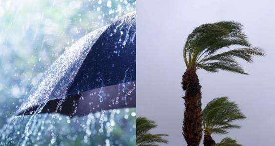 طقس الخميس: زخات مطرية، هبات رياح قوية وثلوج فوق المرتفعات..والحرارة الدنيا قد تصل إلى 06- درجات