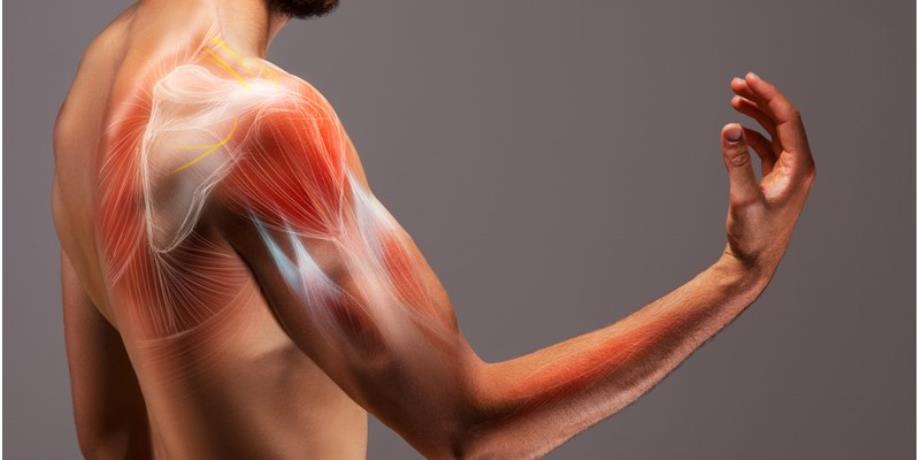 ما هي أنواع آلام الكتف الأكثر شيوعا؟