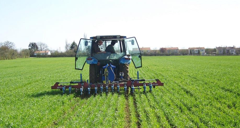 Les récentes précipitations dans la région de Tanger-Tétouan-Al Hoceima laissent présager une saison agricole prometteuse