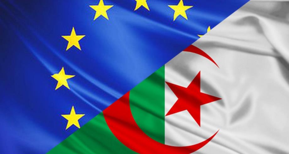 البرلمان الأوروبي : الجزائر تجتاز وضعا سياسيا مأساويا