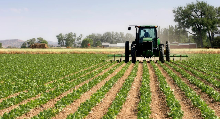 Agriculture: 4,5 MMDH pour les investissements privés en 2021
