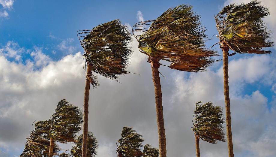 Alerte météo : Averses orageuses et fortes rafales de vent attendues dans plusieurs provinces du Maroc