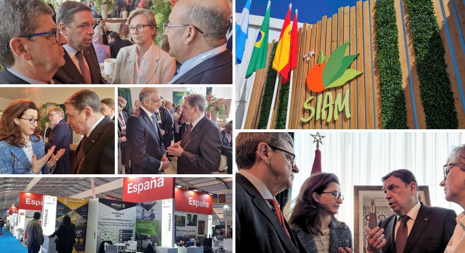 وزارة الفلاحة الإسبانية: المعرض الدولي للفلاحة بالمغرب، أكثر المعارض "المرموقة" في شمال إفريقيا