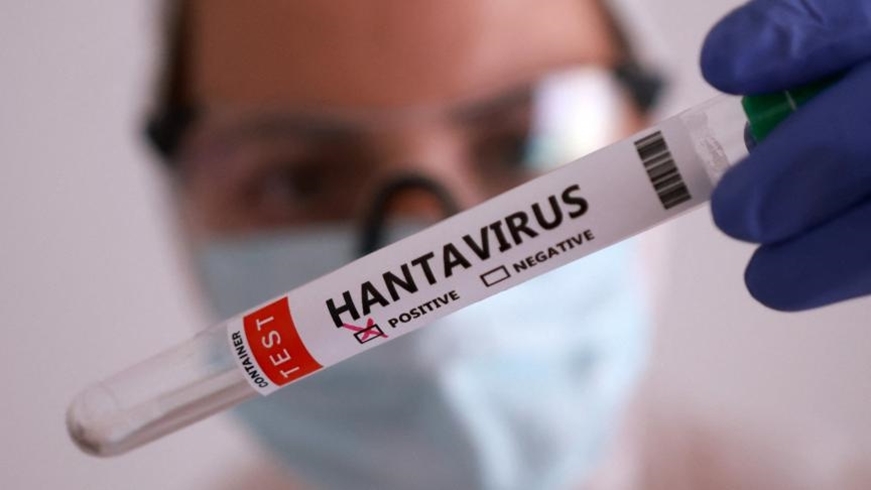 Un Américain passager du MV Hondius testé positif à l'hantavirus