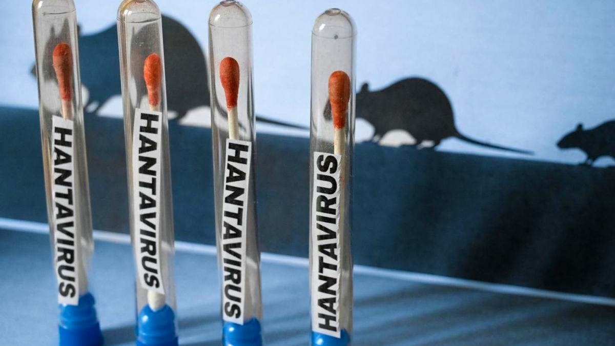 Hantavirus : le risque global pour la population reste "faible"