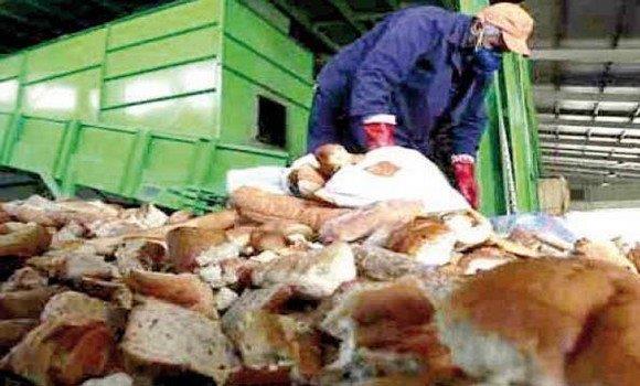 الجزائريون بذروا أزيد من 4 ملايين رغيف خبز في ظرف 20 يوما