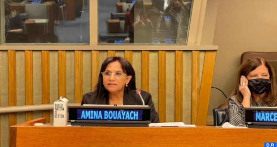 Accès à l'information sur la migration: Bouayach met en avant à New York le rôle des institutions nationales des droits de l’Homme