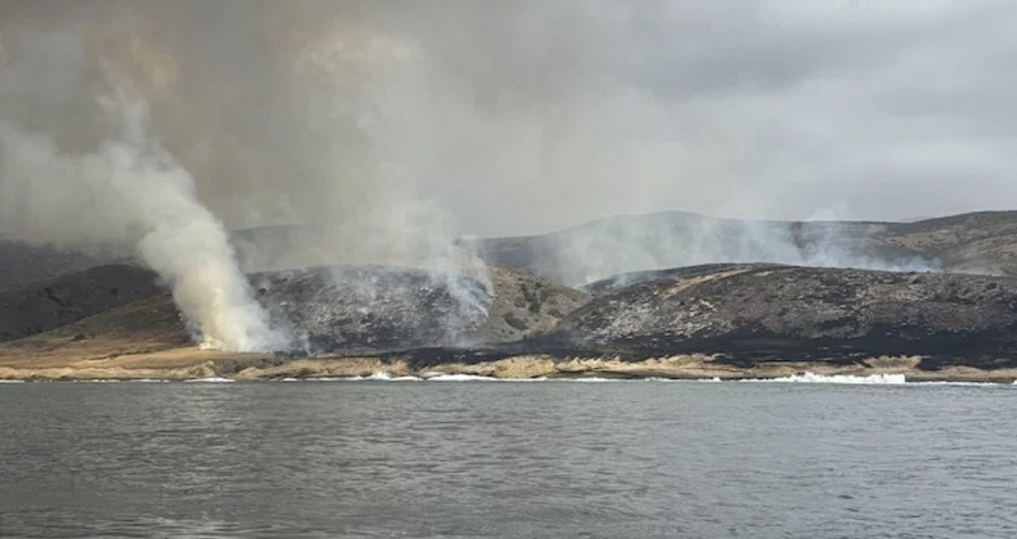 Californie - USA : un important feu de forêt ravage l'île de Santa Rosa
