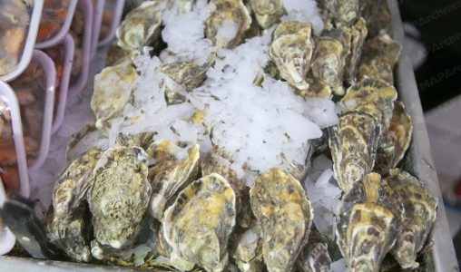 Dakhla : levée de l'interdiction sur le ramassage et la commercialisation des produits conchylicoles dans plusieurs zones Dakhla : levée de l'interdiction sur le ramassage et la commercialisation des produits conchylicoles dans plusieurs zones