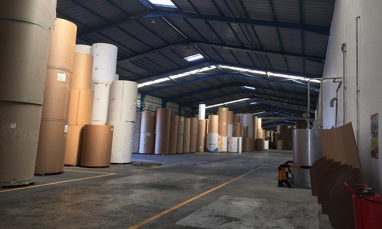 بقوة تنافسية متصاعدة.. المغرب يهيمن على سوق الورق المقوى في منطقة مينا