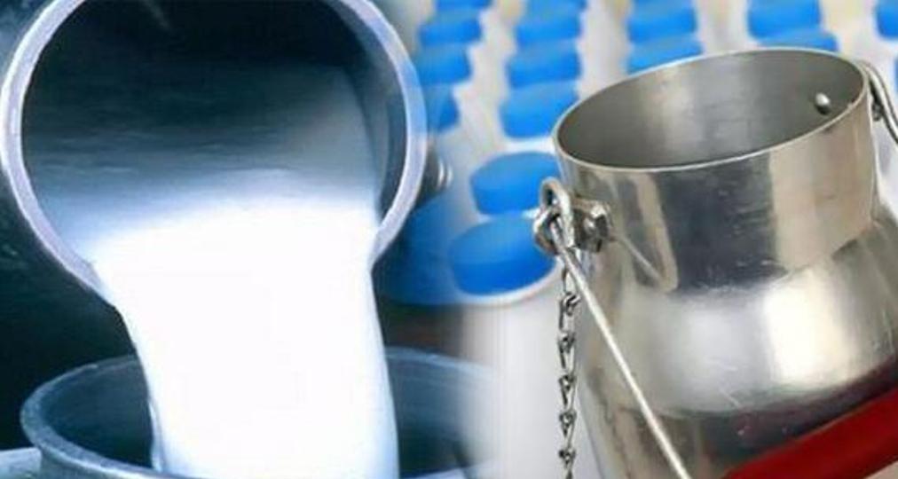 Tunisie : une hausse du prix du lait à la production pour éviter l'effondrement de la filière