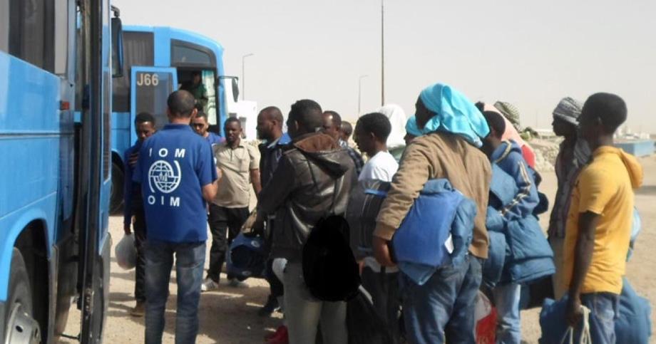 OIM : jusqu’à 15% de migrants sont en situation irrégulière en Tunisie