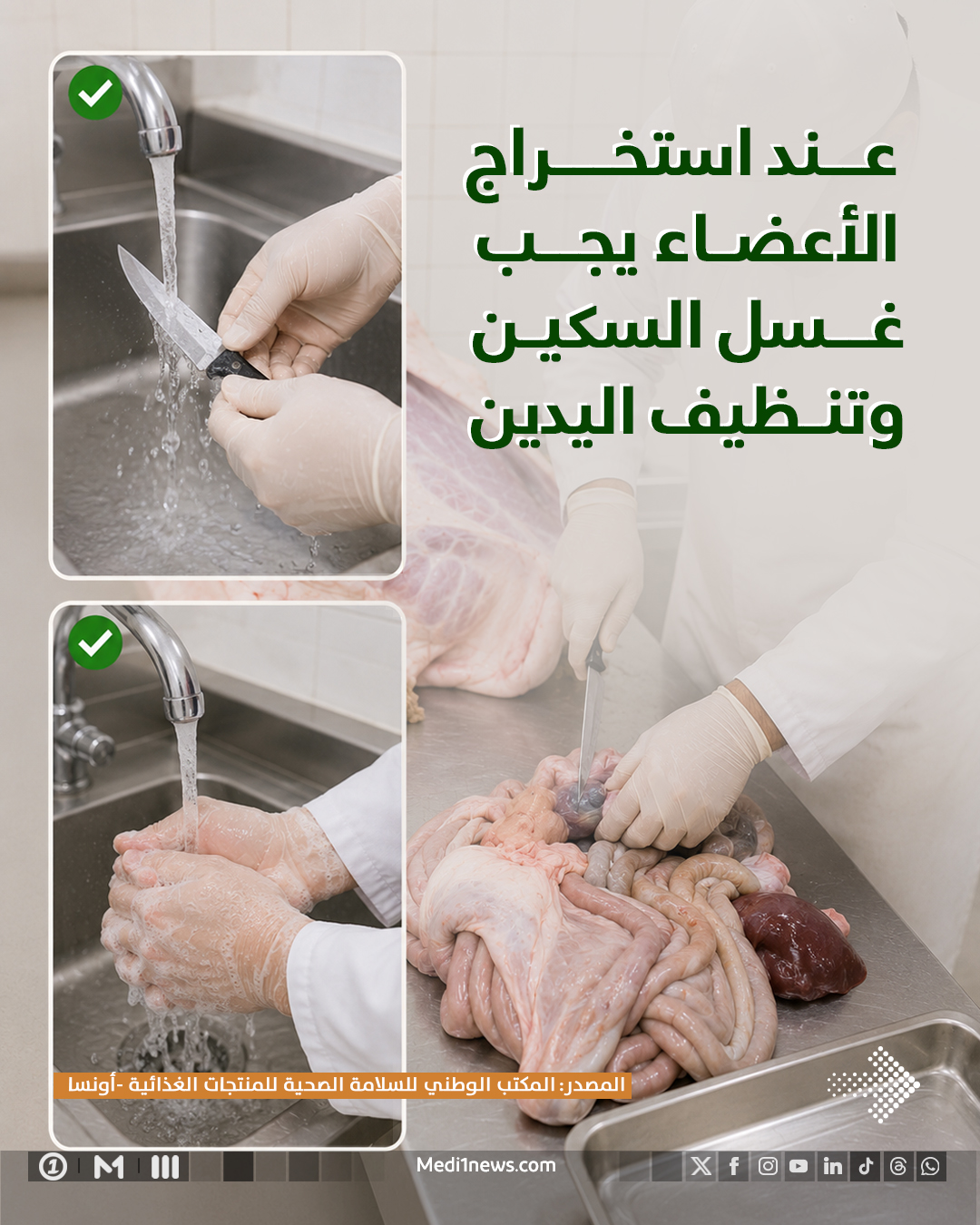 Slide 7