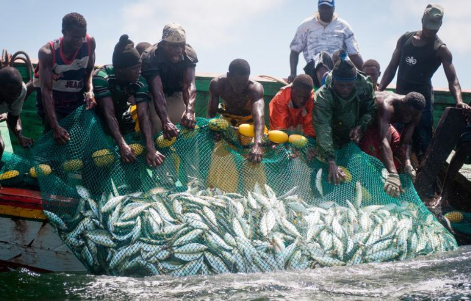 La Côte d'Ivoire impose des périodes de fermeture de pêche en mer