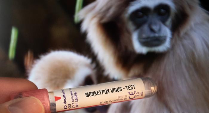 ألمانيا تعتزم الحصول على 400 ألف جرعة من اللقاح المضاد لجدري القردة