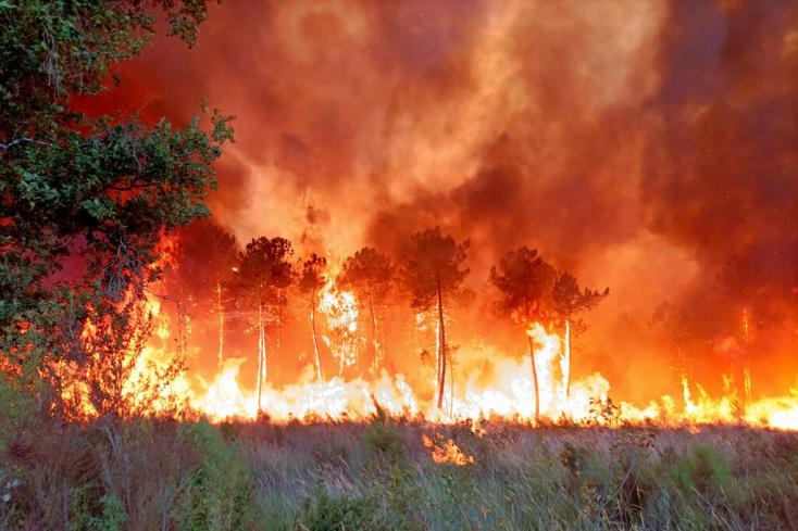 Plus de 170 ha de végétation ravagés par les flammes dans l'est de la Belgique