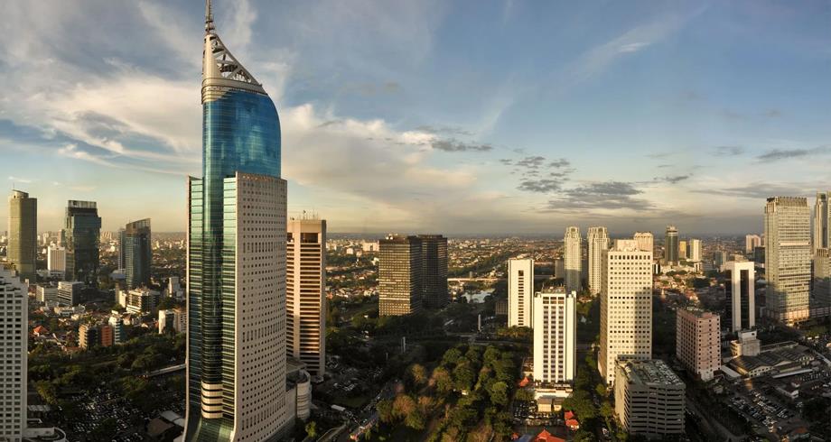 L'Indonésie prévoit la construction de la plus grande zone industrielle verte au monde
