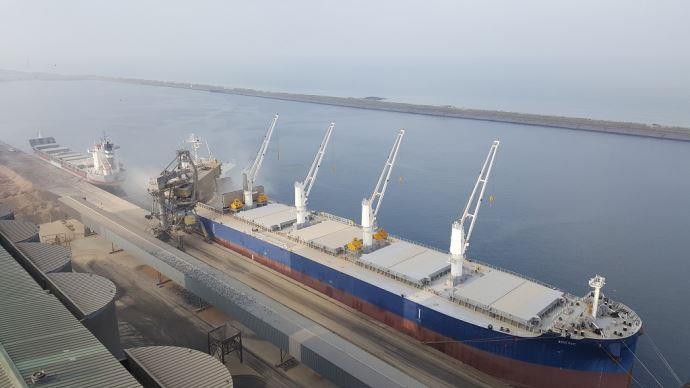 Exportation des céréales : 12 navires ont quitté les ports ukrainiens