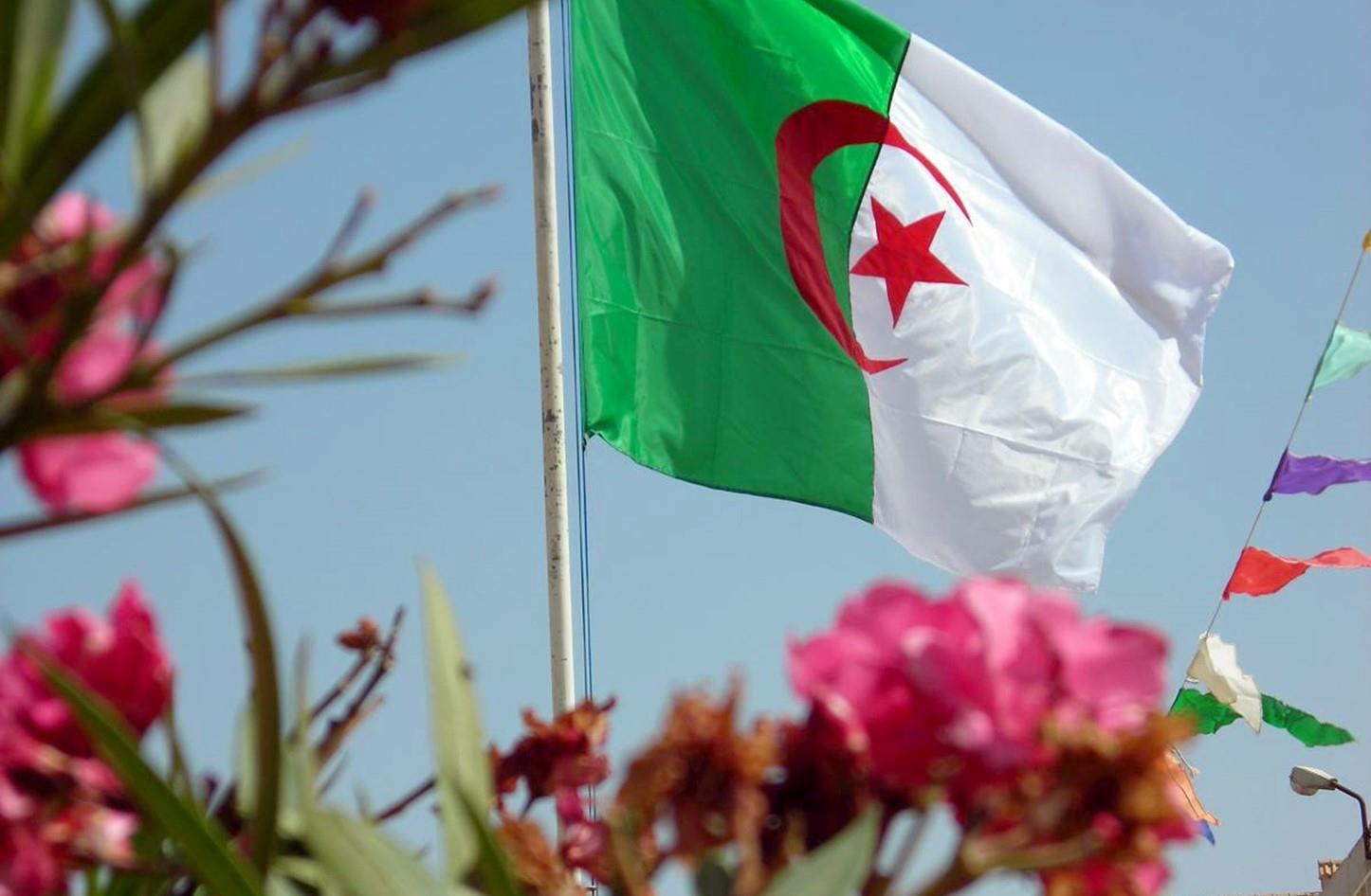 الجزائر...حزب معارض يحتج على نظام "عتيق محتضر"