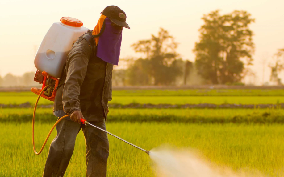 INSERM: liens de causalité établis entre pesticides et maladies graves, dont certains cancers